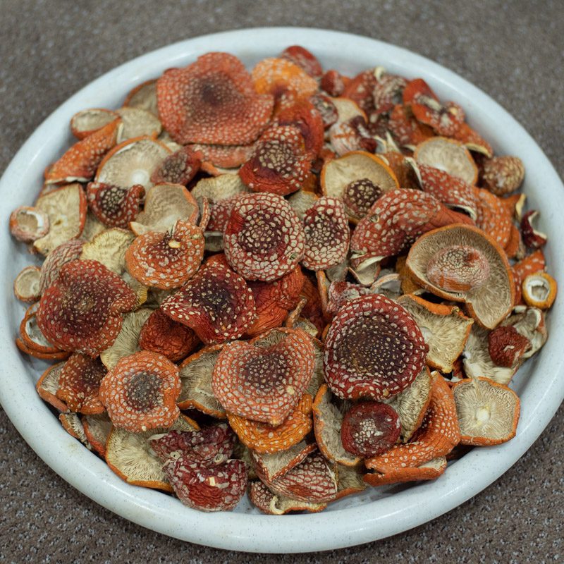 Купить Мухомор красный, сухие шляпки (Amanita Muscaria)