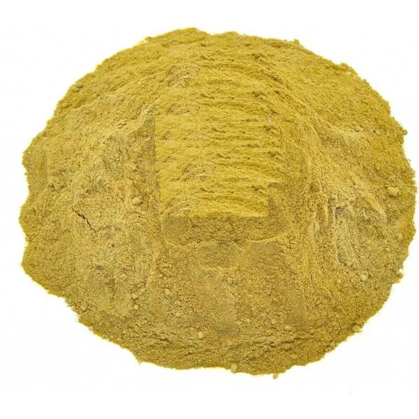 Купить Аюга Туркестанская (Ajuga Turkestanica, Живучка), экстракт