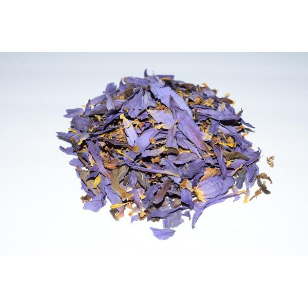 Купить Blue Lotus ( Голубой лотус, Nymphaea Caerulea) Сушеные цветы