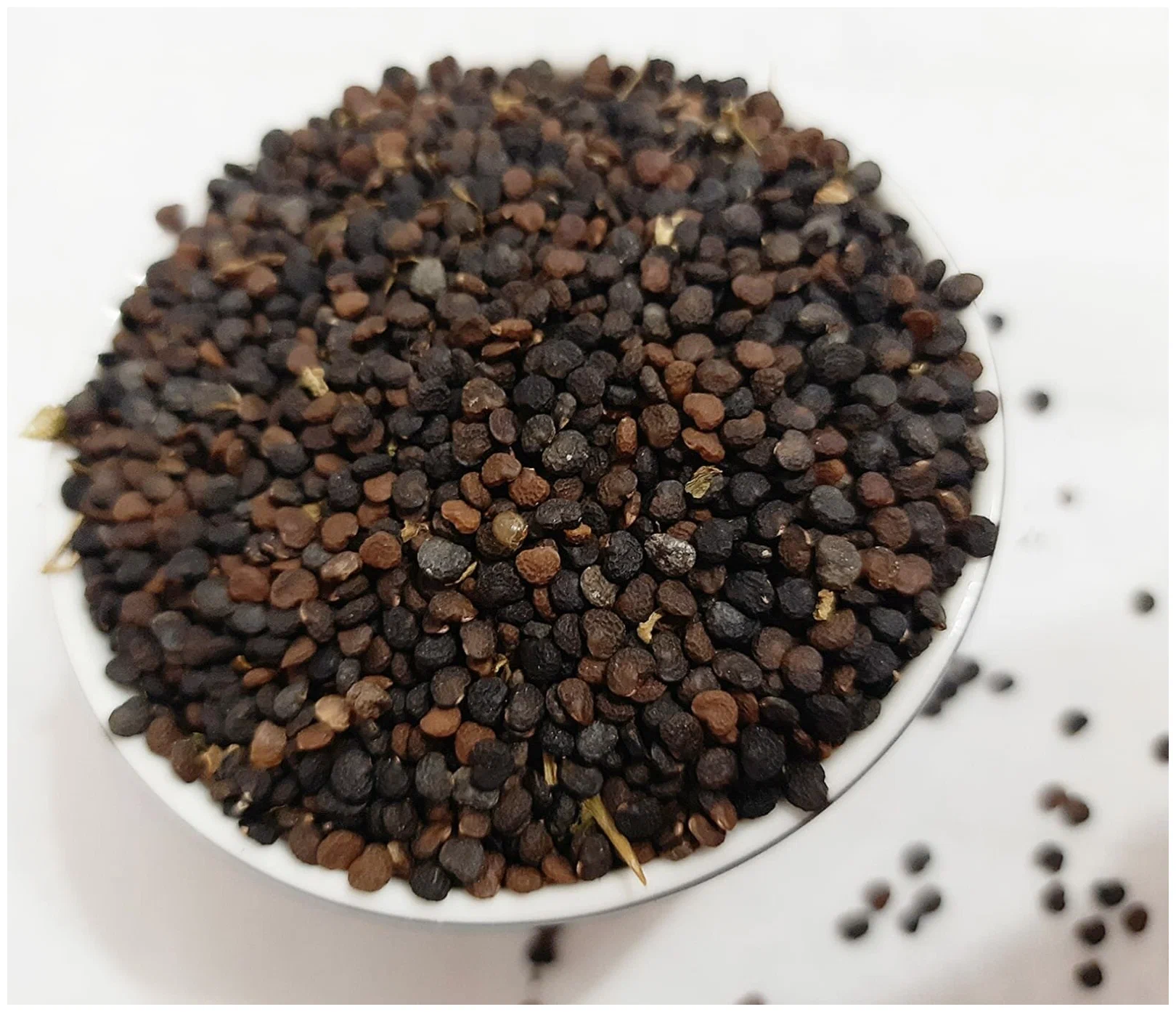 Купить Дурман Индийский, семена/коробочки (Datura Metel)