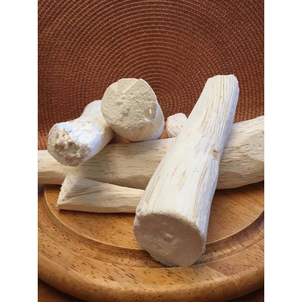 Купить Синаптолепис Кирки / Synaptolepis Kirkii